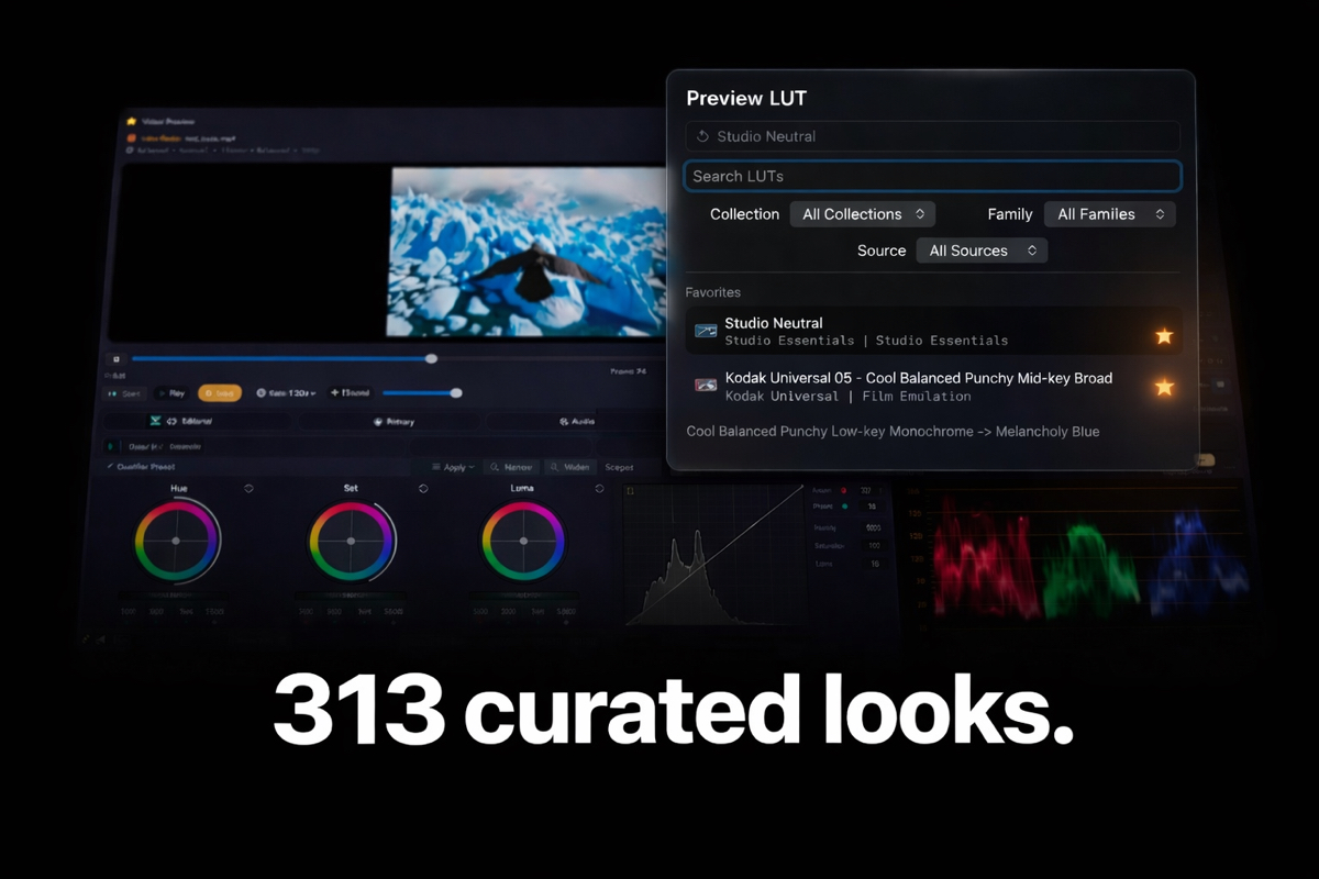 Preview LUT panel showing 313 curated looks across studio and cinematic finishing collections.