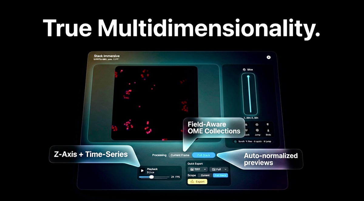Stack navigation controls for multi-frame viewing.
