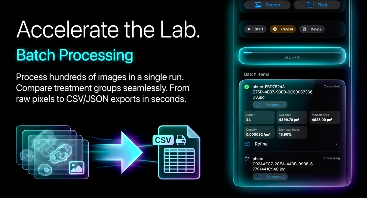 Batch processing slide with lab workflow and export graphics.